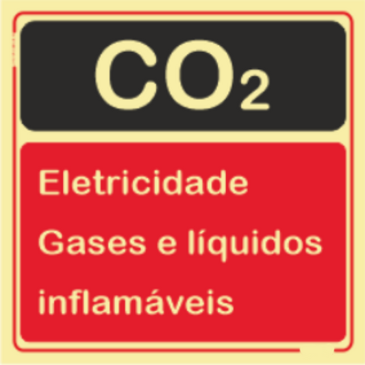 Segurança Contra Incêndio - CO2