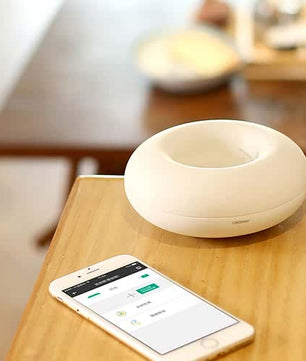 Central de Controlo SPOT LifeSmart