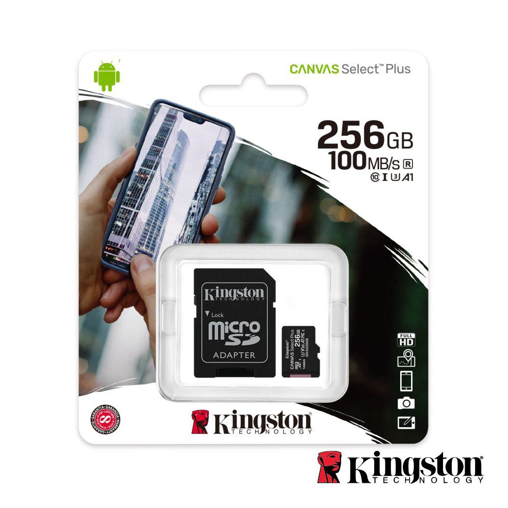 Cartão MicroSD de 256GB
